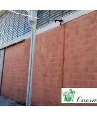 Bagni Di Tivoli: Affitto Capannone in Via del Barco