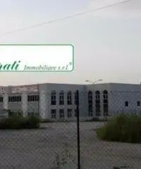 Bagni Di Tivoli: Affitto Magazzino da 810mq