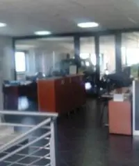 CAPANNONE IN AFFITTO