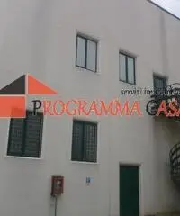 Capannone industriale in vendita a Pomezia via vaccareccia c11