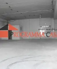 Capannone industriale in vendita a Pomezia via vaccareccia c11