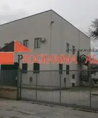 Capannone industriale in vendita a Pomezia via vaccareccia c11