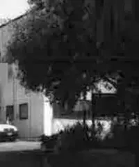 Cecchina: Vendita Capannone in via Catania