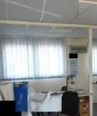 Cecchina: Vendita Capannone in Via dei Tulipani, 46