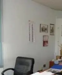 Cecchina: Vendita Capannone in Via dei Tulipani, 46