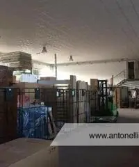 Ciampino - Capannone C1/C2/C3 € 7.000 CA906