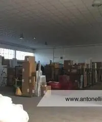 Ciampino -  Capannone C1/C2/C3 € 7.000 CA906