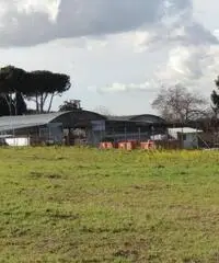 Colle Di Fuori: Vendita Capannone in Via San Cesareo