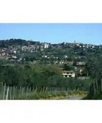 Colle Cavaliere-pietrara: Vendita Capannone in Via Laviniense