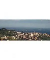 Colle Cavaliere-pietrara: Vendita Capannone in Via Laviniense