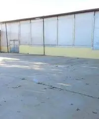 Fregene: Affitto Capannone in Viale di Porto