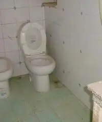 Isola Sacra: Affitto Capannone in FOCE MICINA