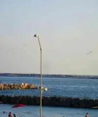 Isola Sacra: Affitto Capannone in FOCE MICINA