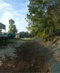 Isola Sacra: Vendita Capannone in via Rombon