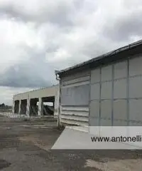 Marino -  Capannone mq 500 € 600.000 CA904