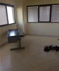 Monterotondo Scalo: Vendita Capannone in Via T. Edison