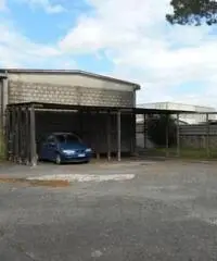 Monterotondo Scalo: Vendita Capannone in via I. Galvani