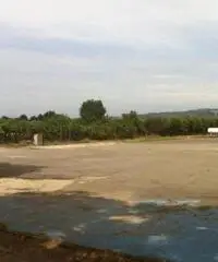 Pavona: Affitto Capannone da 1200mq