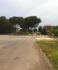 Pavona: Affitto Capannone da 800mq