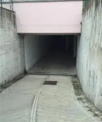 Pavona: Affitto Magazzino in Via Frosinone