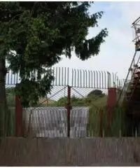 Pian Di Gerri: Vendita Capannone in angolo via appia sud 3