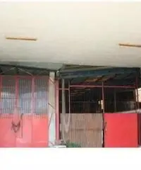 Pian Di Gerri: Vendita Capannone in angolo via appia sud 3