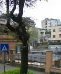 Pian Di Gerri: Vendita Laboratorio in Via Roma