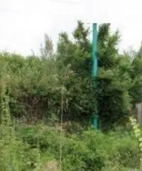 Pian Di Gerri: Vendita Capannone in Via Appia Sud, 3 angolo Via Caranella