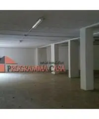 POMEZIA CENTRO DEPOSITO MAGAZZINO 240 MQ.