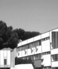 Pratica Di Mare: Vendita Capannone in Via della Chimica