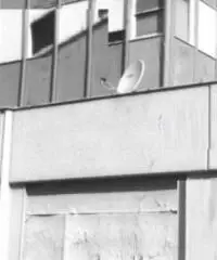 Pratica Di Mare: Vendita Capannone in Via della Chimica