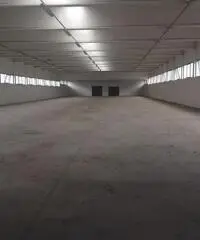 RifITI 003-V20/623 - Capannone Industriale in Affitto a Ariccia di 1600 mq