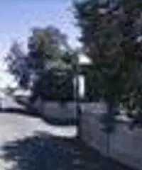 RifITI 048-AA873 - Magazzino in Affitto a Roma - Portuense/Magliana di 1800 mq