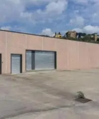 Santa Lucia: Affitto Capannone in via Monte Bianco