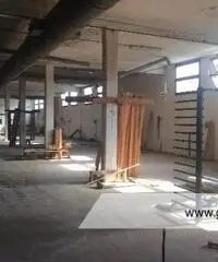 Roma- Zona Borghesiana- Capannone industriale