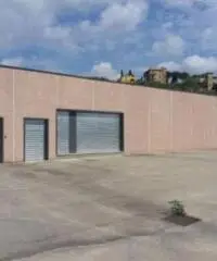 Santa Lucia: Vendita Capannone in via monte bianco 22