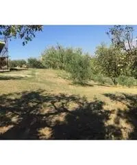 Santa Lucia: Vendita Magazzino in Via Palombarese