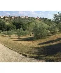 Santa Lucia: Vendita Magazzino in Via Palombarese