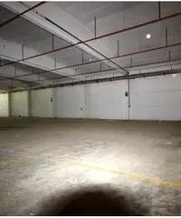 Santa Marta: Affitto Capannone in Via Morlupo