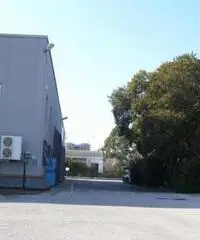 Santa Procula: Affitto Capannone in via pontina vecchia