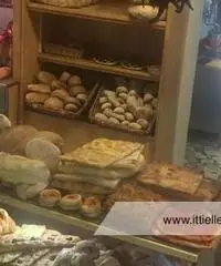 Velletri -  Laboratorio 3 locali € 100.000 LT301