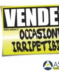 Vendita Capannone da 4548mq