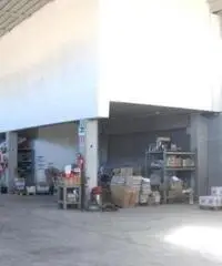 Vendita Capannone in Angelo Molinari