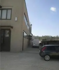 Vendita Capannone in Strada Regionale 155