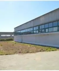 Vendita Capannone in Stradone Spadellata