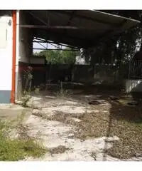 Vendita Capannone in Via dei Frati