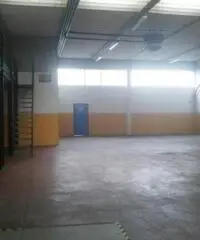 Vendita Capannone in Campodarsego