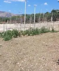 Capannone 300 mq. con terreno cod 021