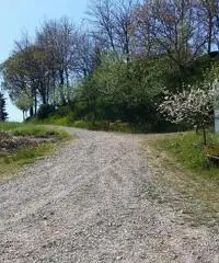 Agricolo in vendita a Parma