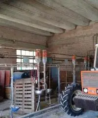 Agricolo in vendita a Parma